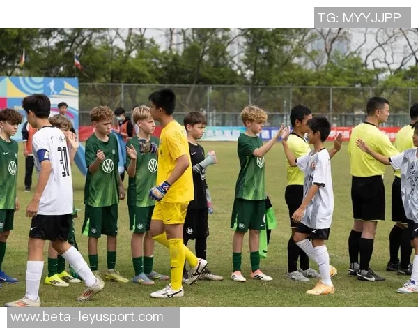 推动足球发展中国的战略与实践探索助力全民健身与青少年成长